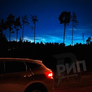 Иллюстрация 6