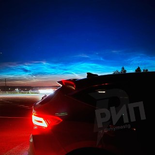 Иллюстрация 7
