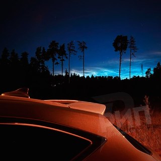 Иллюстрация 9