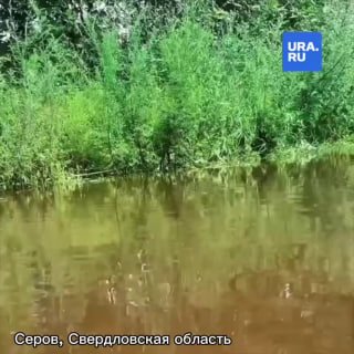 «Большая вода» топит регионы Урала