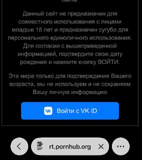 Россияне могут остаться без Pornhub из-за санкций против VK