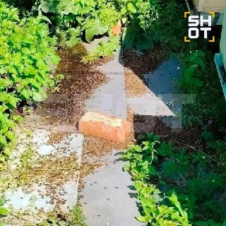 Иллюстрация 3