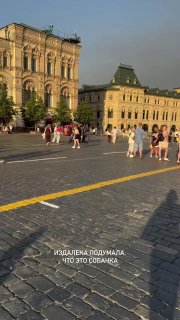 Москвич пришел с козой на Красную площадь - его арестовали на 5 суток