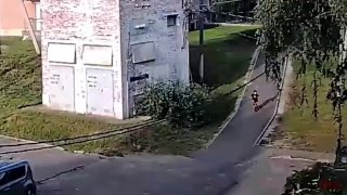 В Подмосковье возбуждено уголовное дело после нападения собак на пятилетнего ребенка