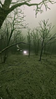 Под водой в немецком озере Гейзельтальзее обнаружили затопленные леса и дороги