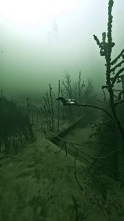Иллюстрация 2