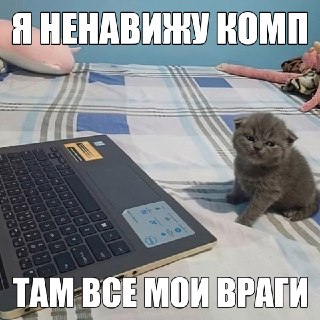 Зумеры хотят мир БЕЗ ИНТЕРНЕТА — исследование молодёжи от Британского института стандартов
