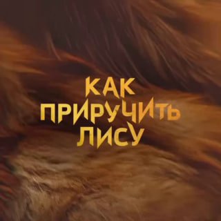 Новый криминальный сериал "Как приручить лису" выйдет 10 октября на Okko.