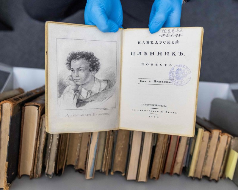 Группа воров похитила из европейских библиотек редкие книги русских классиков на $3,3 млн.