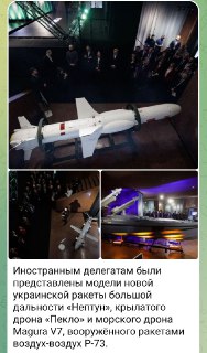 Украина стремится заработать на экспорте вооружений, несмотря на риски для России.