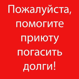 Луганский приют для животных 'Мурысин дом' просит помощи в оплате корма и лечения.