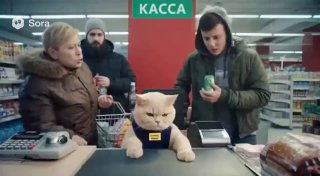 В Telegram появились новые версии нейросетей для создания видео Sora 2, Veo3 и Nano Banana.