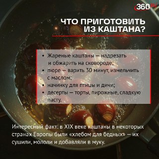 Иллюстрация 3