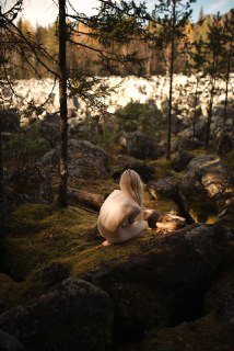 Иллюстрация 3