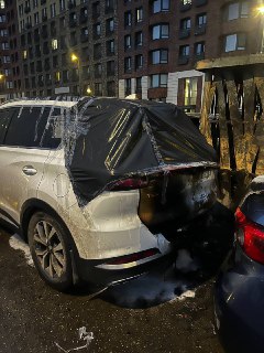 Иллюстрация 7