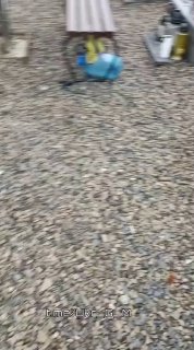 Иллюстрация 3