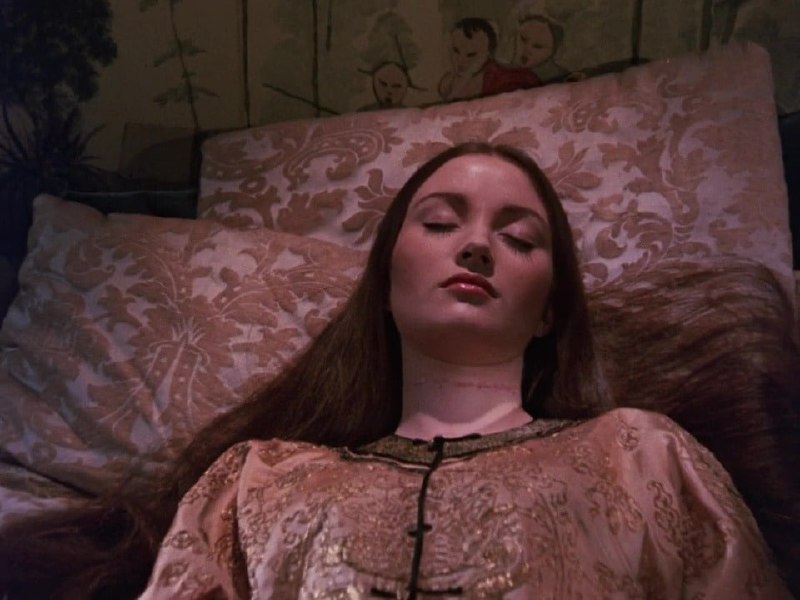 Иллюстрация 4