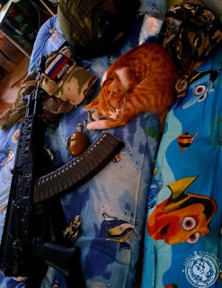 Иллюстрация 3