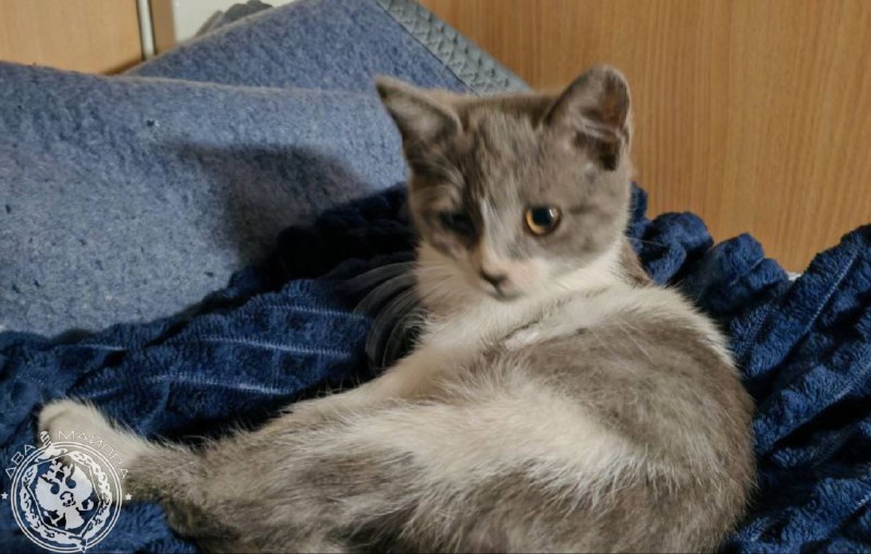 Иллюстрация 7