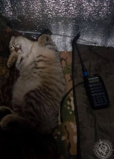 Иллюстрация 8