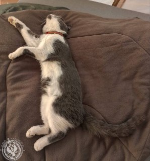 Иллюстрация 10