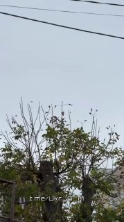 Иллюстрация 5