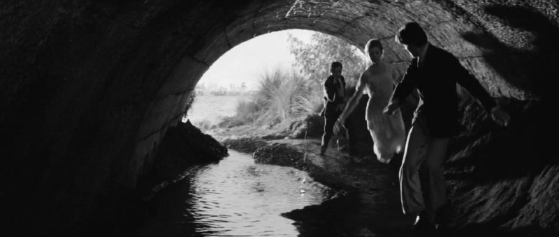 Иллюстрация 5