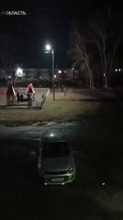 В Екатеринбурге полицейский застрелил сбежавшую собаку