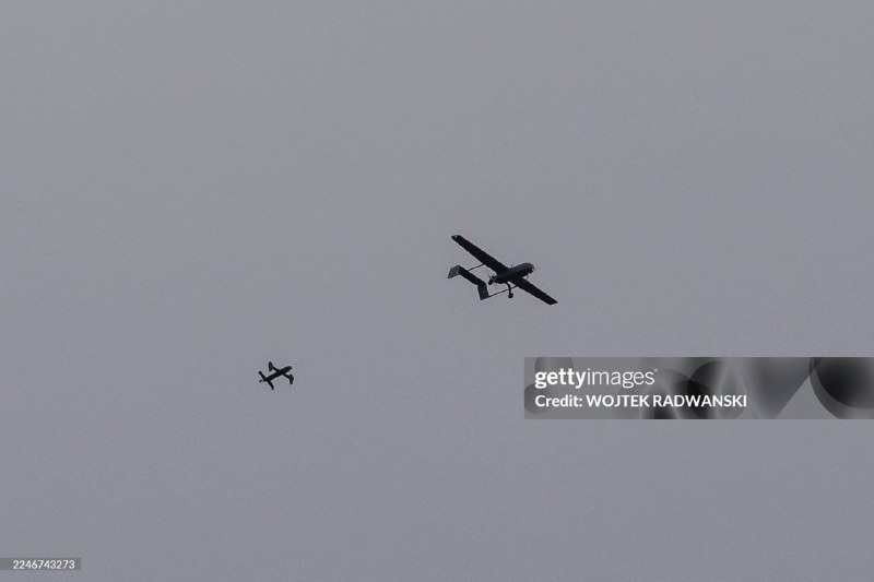 Иллюстрация 6