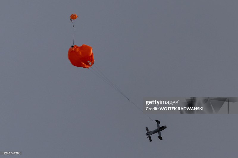 Иллюстрация 7