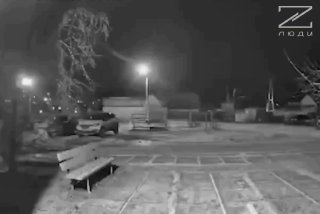 В Карпинске женщина спасла ребенка от стаи бродячих собак