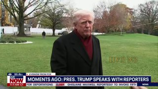 Обсуждение плана и анекдот о волке и зайце