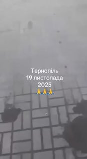 Иллюстрация 4