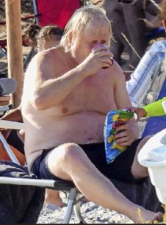 Джонсон раскритиковал мирный план Трампа