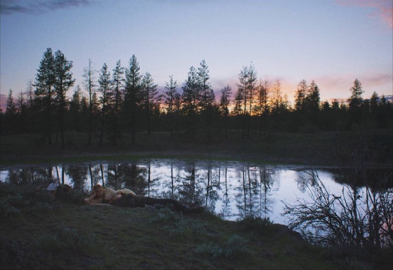 Иллюстрация 4