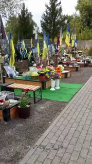 Иллюстрация 3