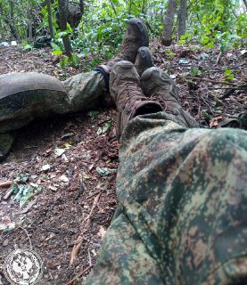 Иллюстрация 3