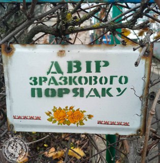 Иллюстрация 7