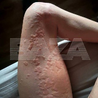 Иллюстрация 2