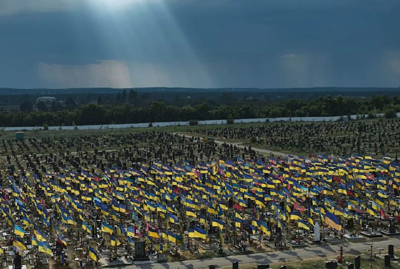 Иллюстрация 3