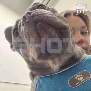 Иллюстрация 2