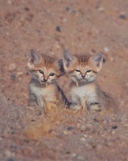 Иллюстрация 2