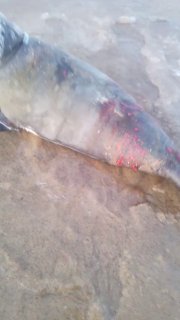 Иллюстрация 2