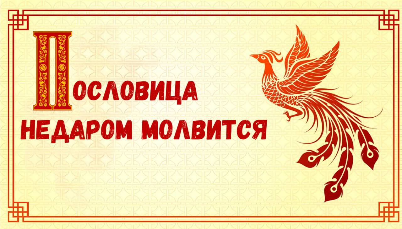 Канал "Пословицы и поговорки" обучает красиво спорить