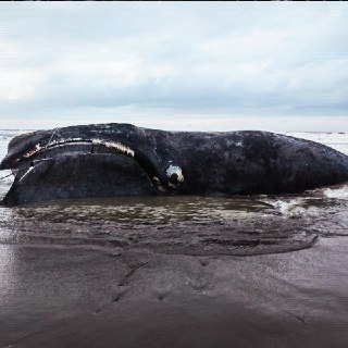 Иллюстрация 2