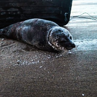 Иллюстрация 3