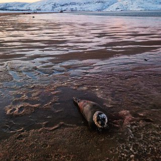 Иллюстрация 4