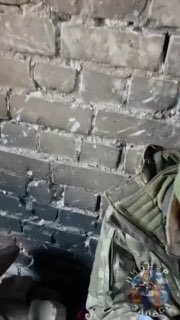 Иллюстрация 2