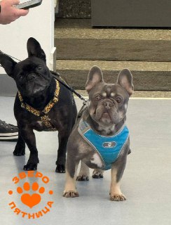 Иллюстрация 2