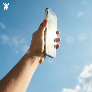 Минцифры обновил "белый список" сайтов для доступа при ограничении интернета